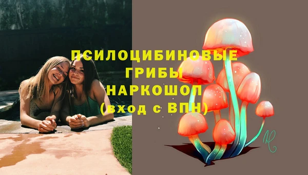 бошки Нефтекумск