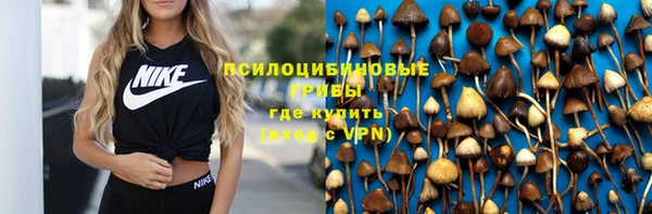 бошки Нефтекумск