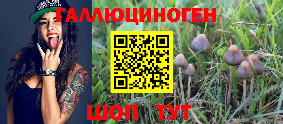 Клин  Галлюциногенные грибы мухоморы  Вход с VPN 