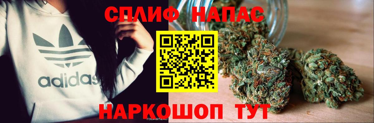 Канабис SATIVA & INDICA Клин